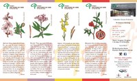 El Jardí Botànic-Arborètum de Lleida edita punts de llibre col·leccionables