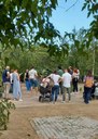 Quaranta cinc persones a la visita guiada a l’Arborètum de Lleida en commemoració del Dia Internacional dels Museus 