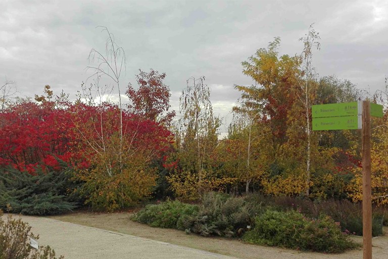 Un taller de bonsais iniciarà les activitats de tardor a l’Arborètum de Lleida